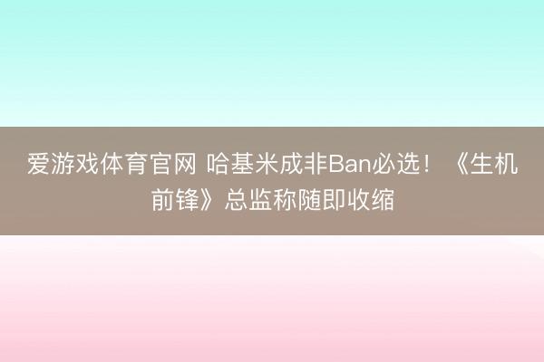 爱游戏体育官网 哈基米成非Ban必选！《生机前锋》总监称随即收缩