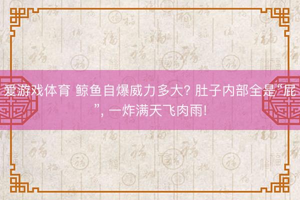 爱游戏体育 鲸鱼自爆威力多大? 肚子内部全是“屁”， 一炸满天飞肉雨!