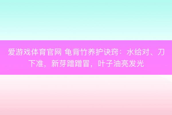 爱游戏体育官网 龟背竹养护诀窍：水给对、刀下准，新芽蹭蹭冒，叶子油亮发光