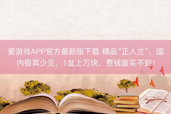爱游戏APP官方最新版下载 精品“正人兰”,国内极其少见,1盆上万块,费钱皆买不到!