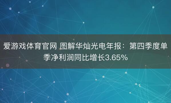爱游戏体育官网 图解华灿光电年报：第四季度单季净利润同比增长3.65%