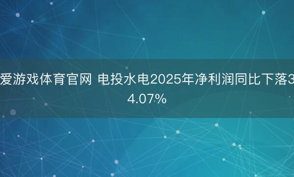 爱游戏体育官网 电投水电2025年净利润同比下落34.07%
