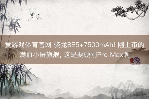 爱游戏体育官网 骁龙8E5+7500mAh! 刚上市的满血小屏旗舰， 这是要硬刚Pro Max啊
