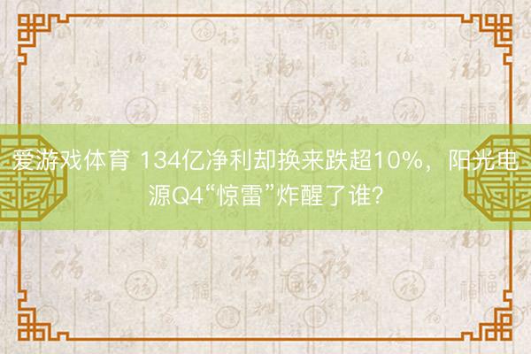 爱游戏体育 134亿净利却换来跌超10%，阳光电源Q4“惊雷”炸醒了谁？