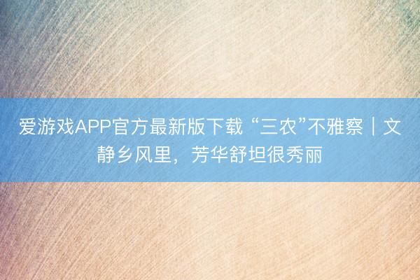 爱游戏APP官方最新版下载 “三农”不雅察｜文静乡风里，芳华舒坦很秀丽