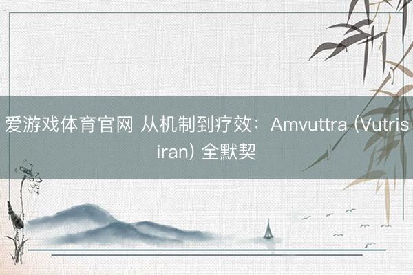 爱游戏体育官网 从机制到疗效:Amvuttra (Vutrisiran) 全默契