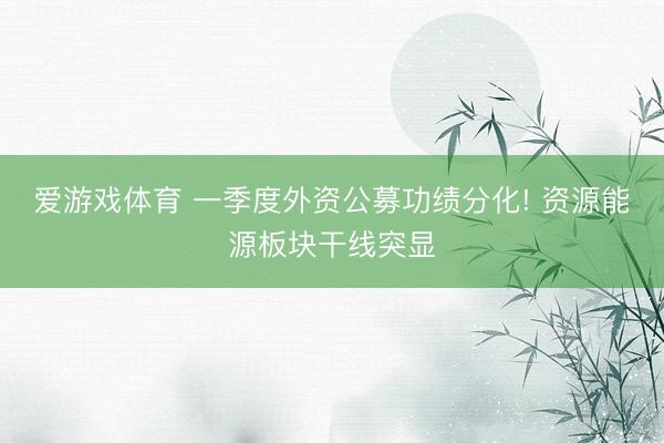 爱游戏体育 一季度外资公募功绩分化! 资源能源板块干线突显