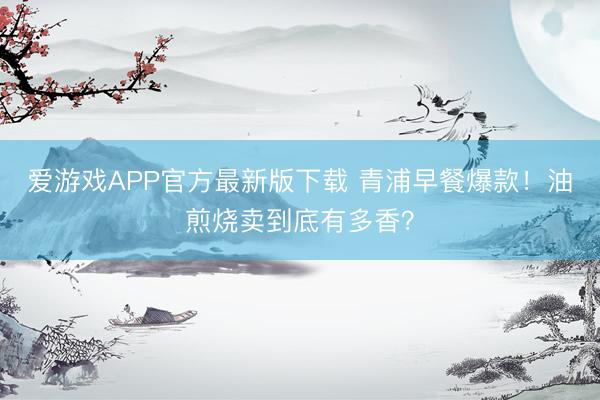 爱游戏APP官方最新版下载 青浦早餐爆款！油煎烧卖到底有多香？
