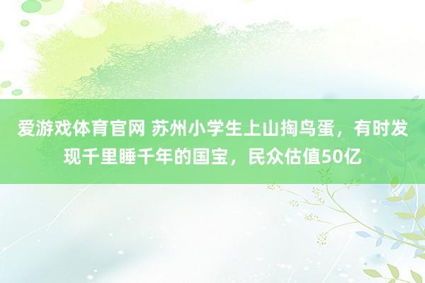爱游戏体育官网 苏州小学生上山掏鸟蛋，有时发现千里睡千年的国宝，民众估值50亿