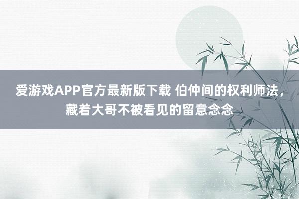 爱游戏APP官方最新版下载 伯仲间的权利师法,藏着大哥不被看见的留意念念