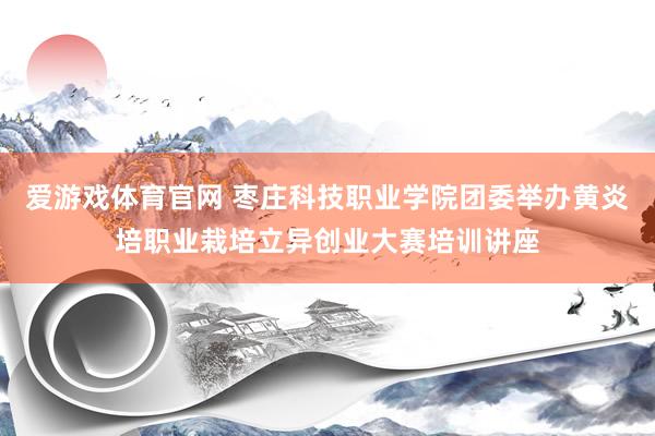 爱游戏体育官网 枣庄科技职业学院团委举办黄炎培职业栽培立异创业大赛培训讲座