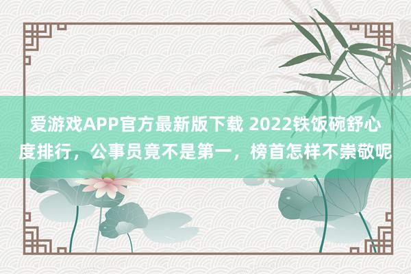 爱游戏APP官方最新版下载 2022铁饭碗舒心度排行,公事员竟不是第一,榜首怎样不崇敬呢