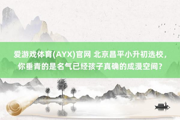 爱游戏体育(AYX)官网 北京昌平小升初选校，你垂青的是名气已经孩子真确的成漫空间？