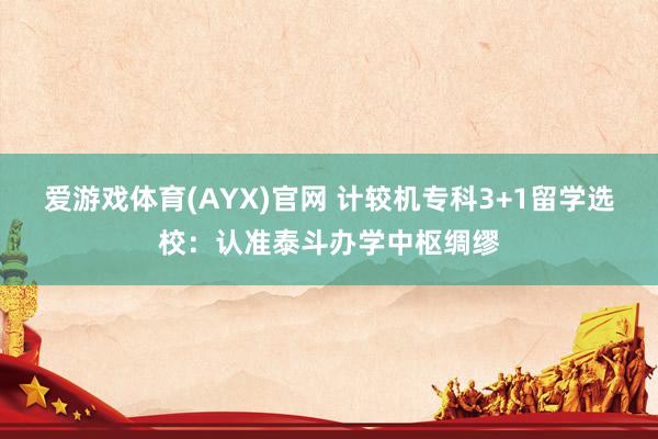 爱游戏体育(AYX)官网 计较机专科3+1留学选校：认准泰斗办学中枢绸缪