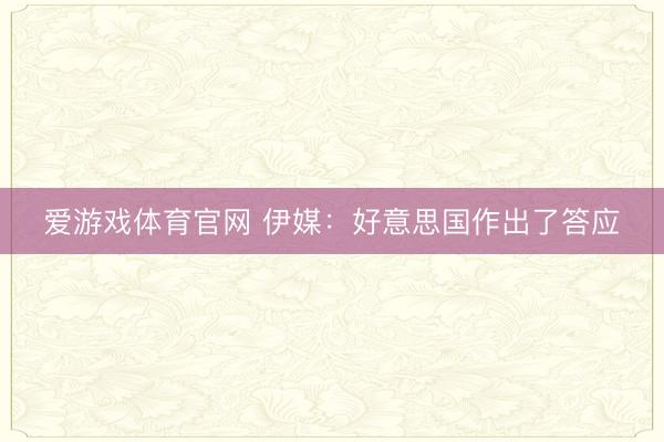 爱游戏体育官网 伊媒:好意思国作出了答应