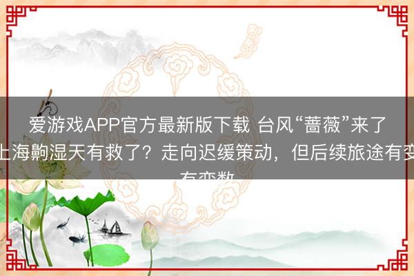 爱游戏APP官方最新版下载 台风“蔷薇”来了!上海齁湿天有救了?走向迟缓策动,但后续旅途有变数