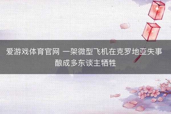 爱游戏体育官网 一架微型飞机在克罗地亚失事 酿成多东谈主牺牲
