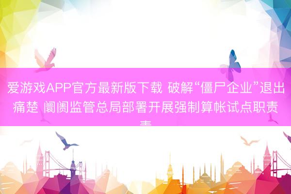 爱游戏APP官方最新版下载 破解“僵尸企业”退出痛楚 阛阓监管总局部署开展强制算帐试点职责