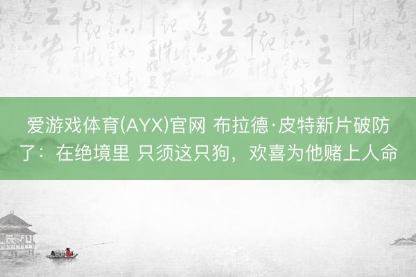 爱游戏体育(AYX)官网 布拉德·皮特新片破防了：在绝境里 只须这只狗，欢喜为他赌上人命