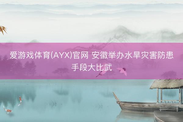 爱游戏体育(AYX)官网 安徽举办水旱灾害防患手段大比武