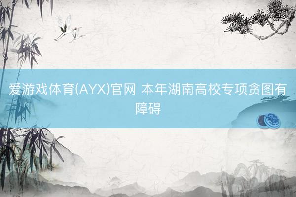 爱游戏体育(AYX)官网 本年湖南高校专项贪图有障碍