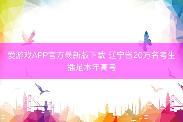 爱游戏APP官方最新版下载 辽宁省20万名考生插足本年高考