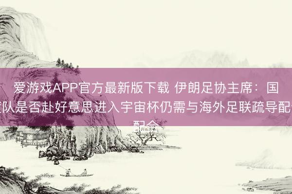 爱游戏APP官方最新版下载 伊朗足协主席:国度队是否赴好意思进入宇宙杯仍需与海外足联疏导配合